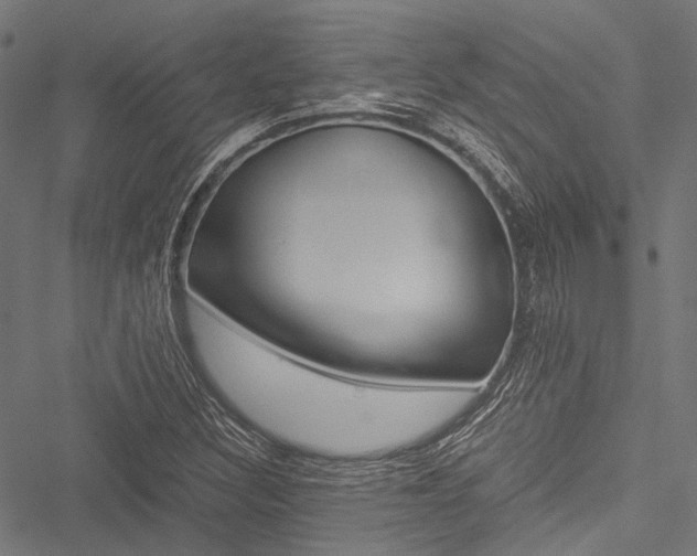 X0000051881308200506240927