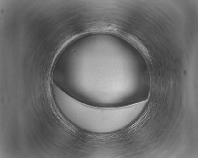 X0000051881340200506240927