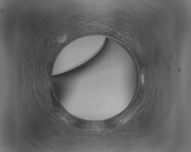 X0000051881347200506240926