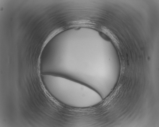X0000051881386200506240926