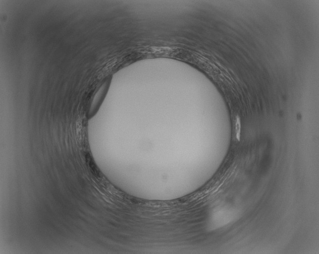 X0000051881395200506240925