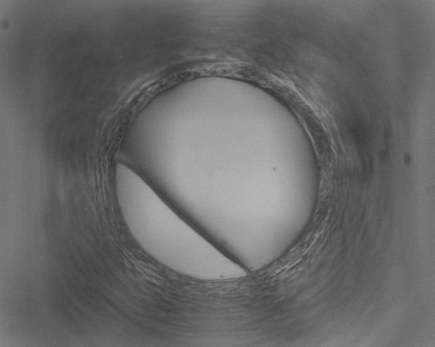 X0000051881399200506240925