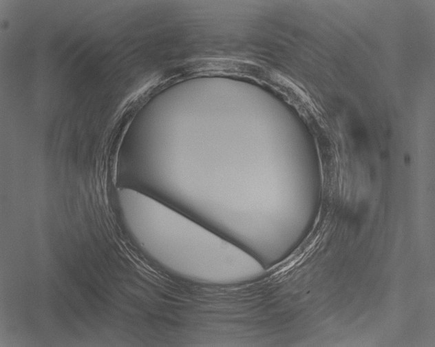 X0000051881403200506240925