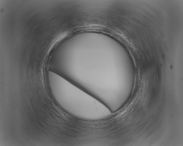 X0000051881405200506240925
