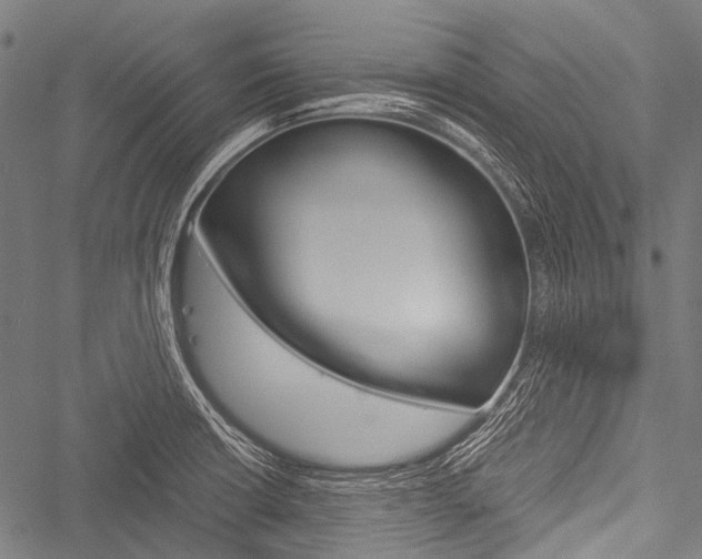 X0000051881426200506240926