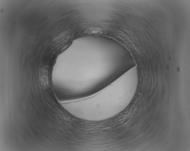 X0000051881442200506240925