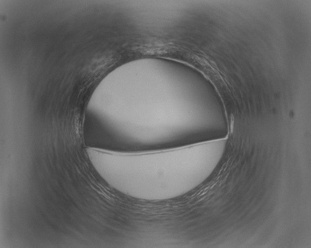 X0000051881444200506240925