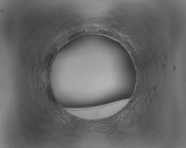 X0000051881445200506240925