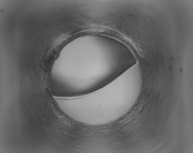 X0000051881448200506240925