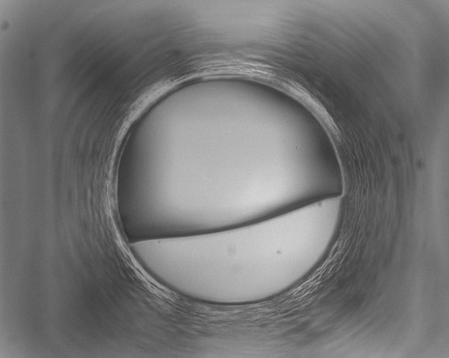 X0000051881485200506240924