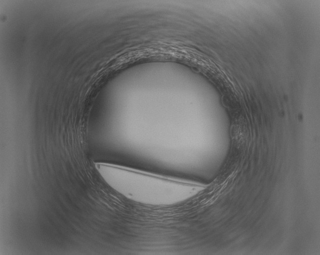X0000051881490200506240923