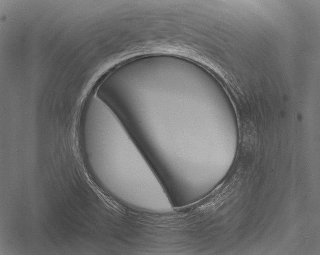 X0000051881507200506240924