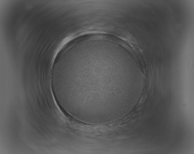 X0000051880003200506241426
