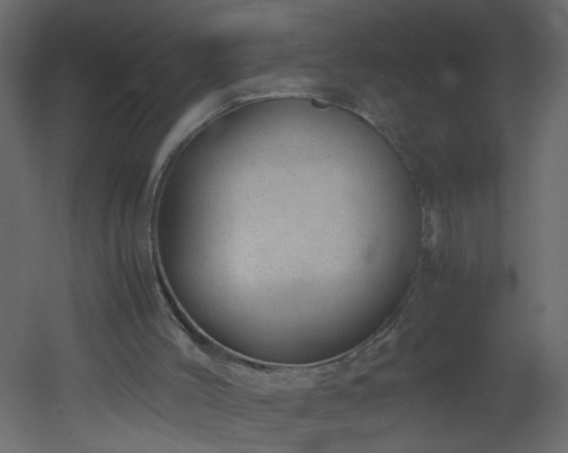 X0000051880004200506241426