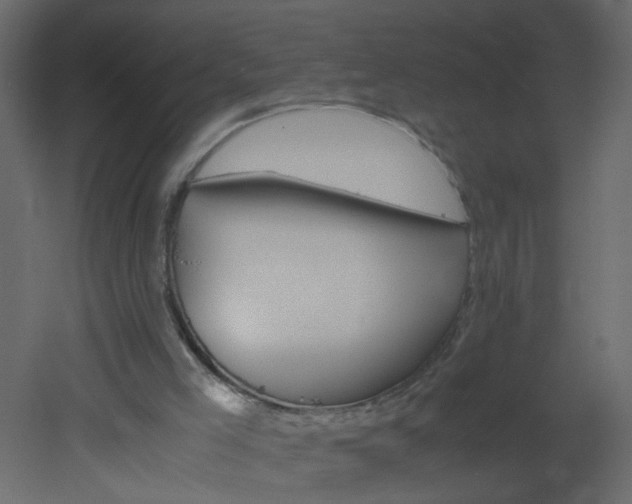 X0000051880005200506241426