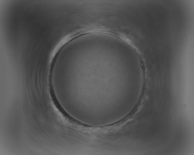 X0000051880007200506241425