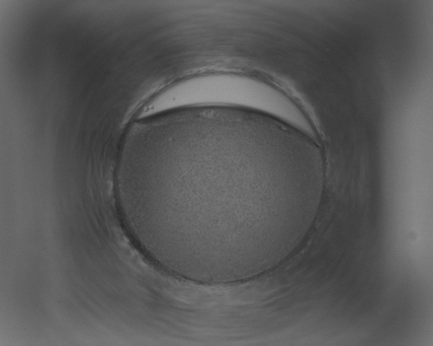 X0000051880010200506241425