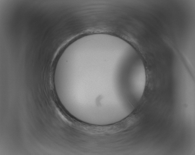 X0000051880012200506241425