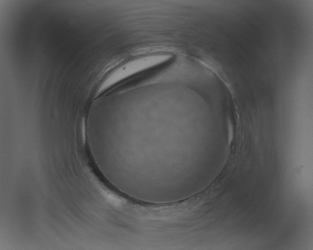 X0000051880013200506241425