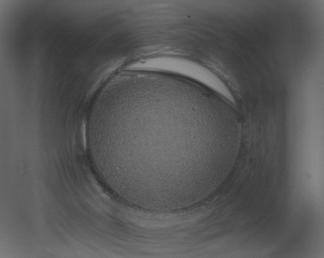 X0000051880014200506241425