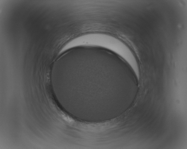 X0000051880017200506241425