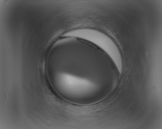 X0000051880019200506241425
