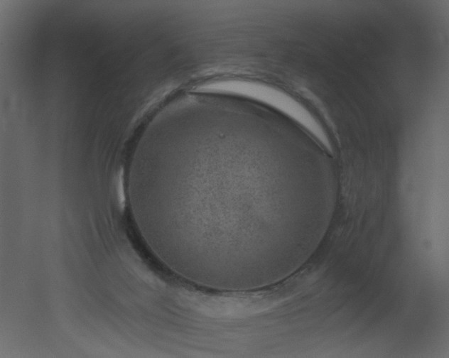 X0000051880020200506241425