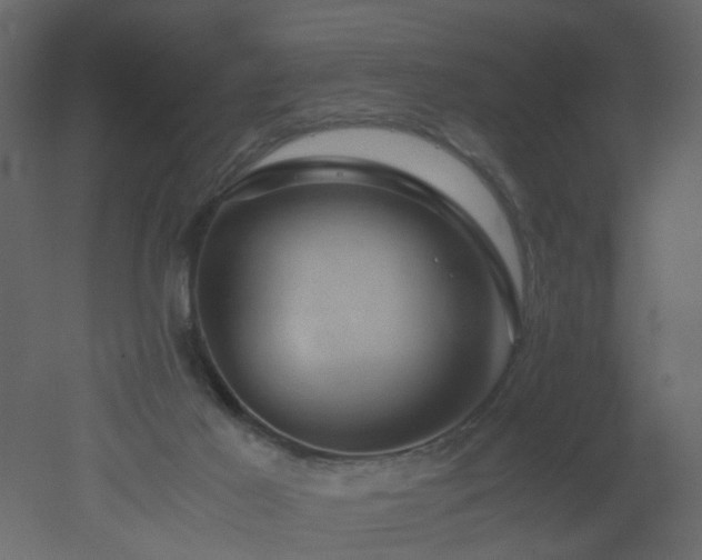 X0000051880021200506241425