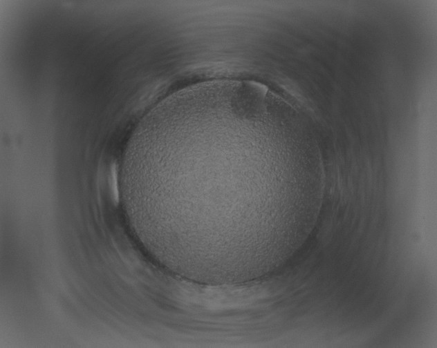 X0000051880022200506241425