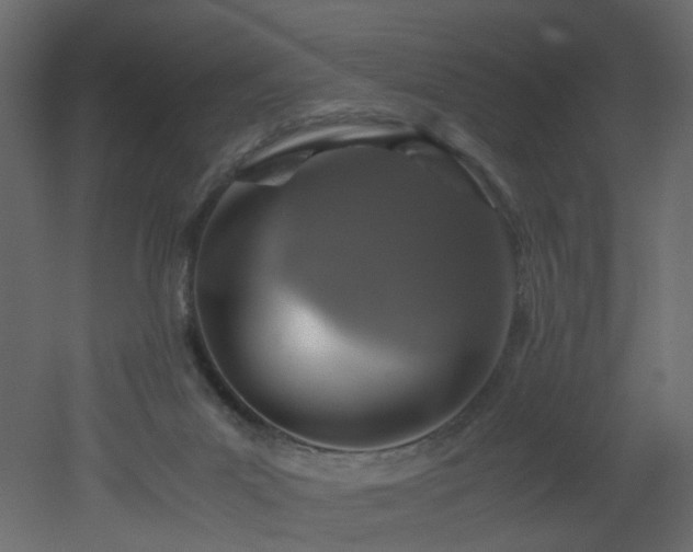 X0000051880023200506241425