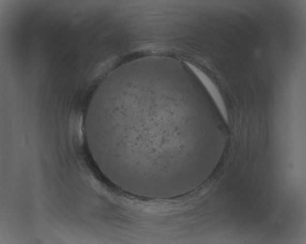 X0000051880024200506241425