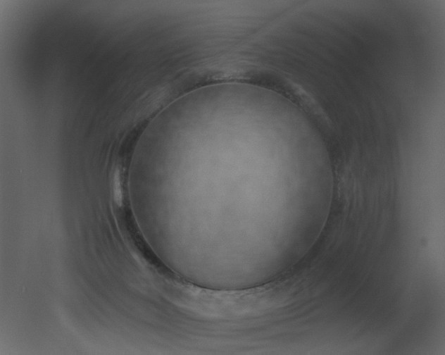 X0000051880026200506241425