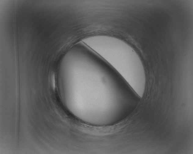 X0000051880027200506241425