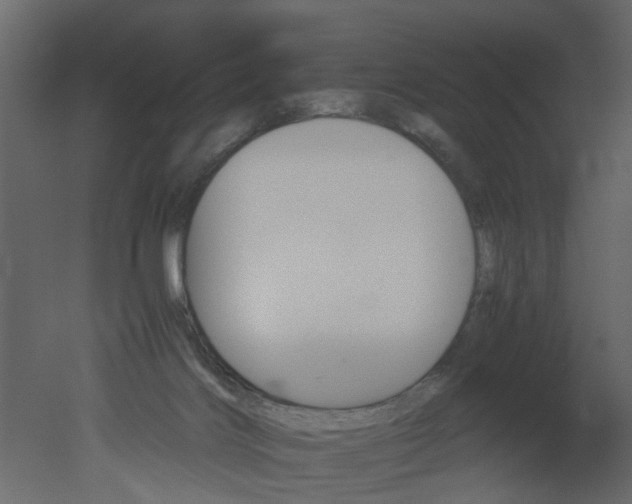 X0000051880028200506241425