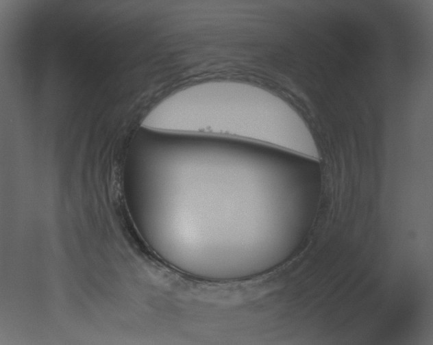 X0000051880029200506241425