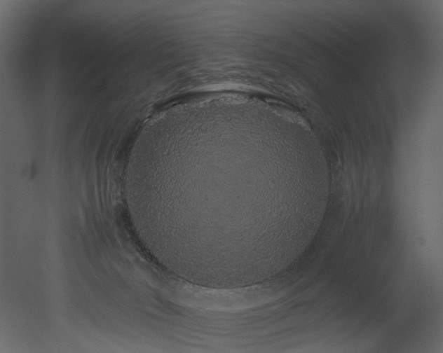 X0000051880030200506241425