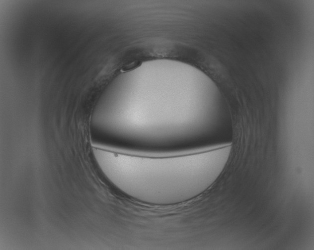 X0000051880031200506241425