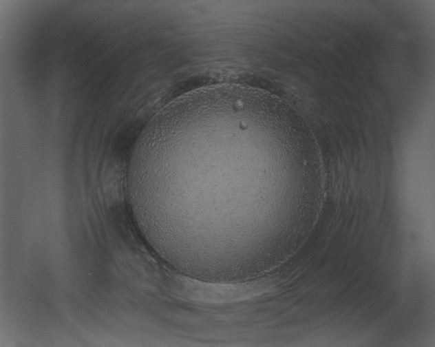 X0000051880034200506241425
