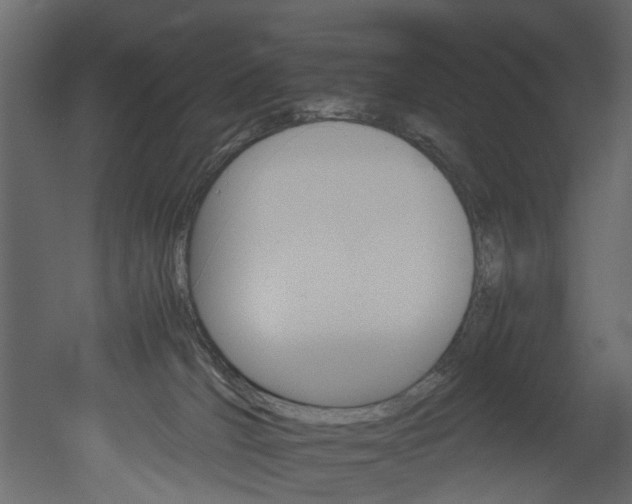 X0000051880036200506241425