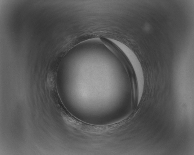 X0000051880037200506241425