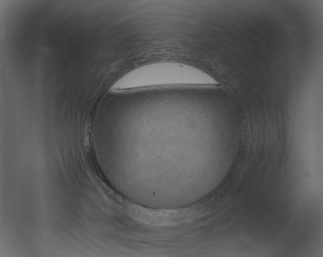 X0000051880038200506241425