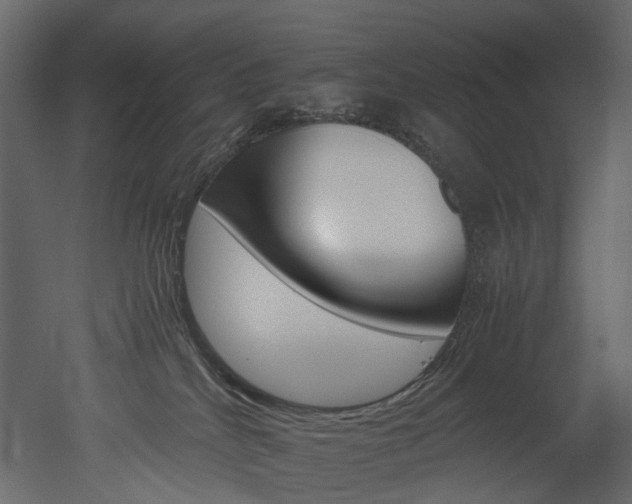 X0000051880040200506241425
