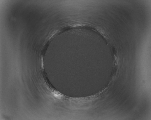 X0000051880041200506241425