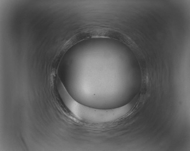 X0000051880045200506241425
