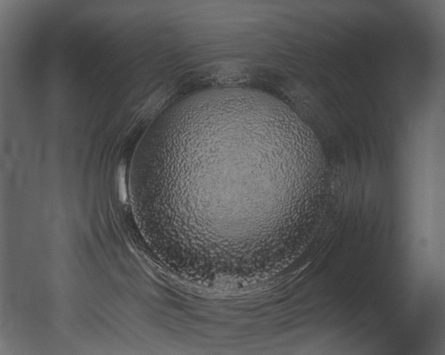X0000051880046200506241425