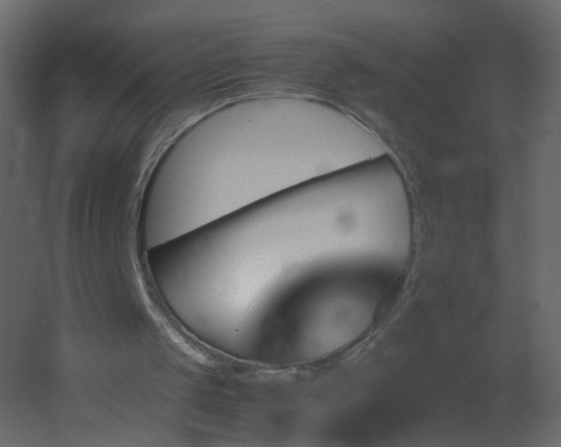 X0000051880049200506241424