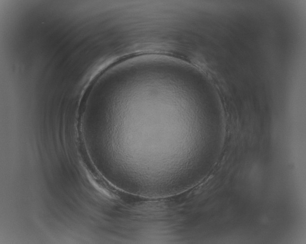 X0000051880050200506241424