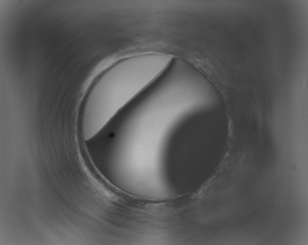 X0000051880054200506241424