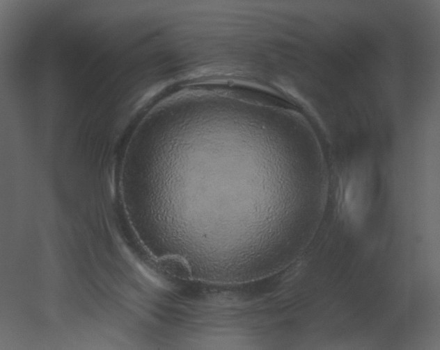X0000051880062200506241424