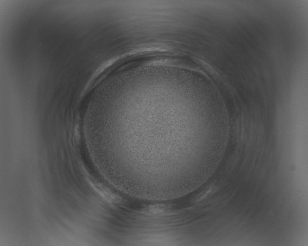 X0000051880064200506241424